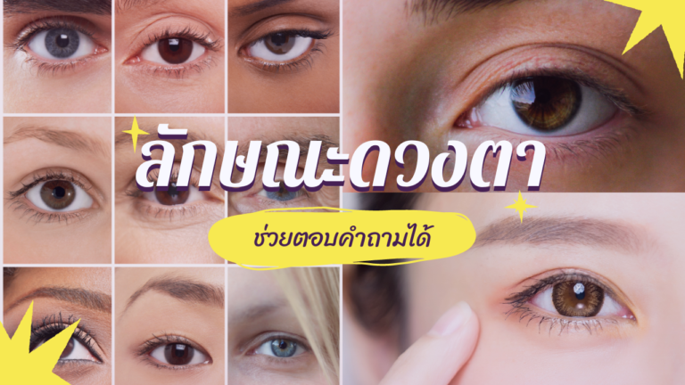 การต่อขนตากับลักษณะดวงตา