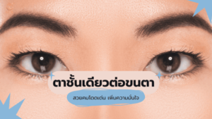 ตาชั้นเดียวต่อขนตา