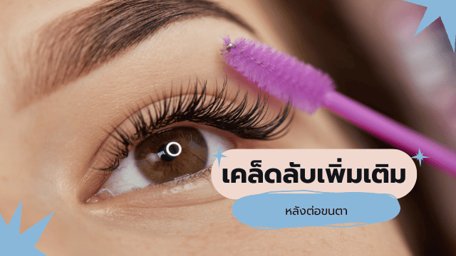 ตาชั้นเดียวต่อขนตา เคล็ดลับเพิ่มเติม