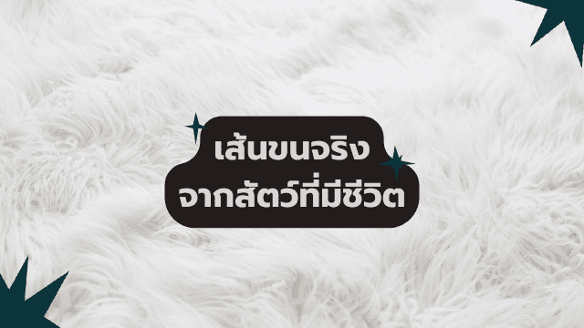 ต่อขนตาแบบตาหวาน