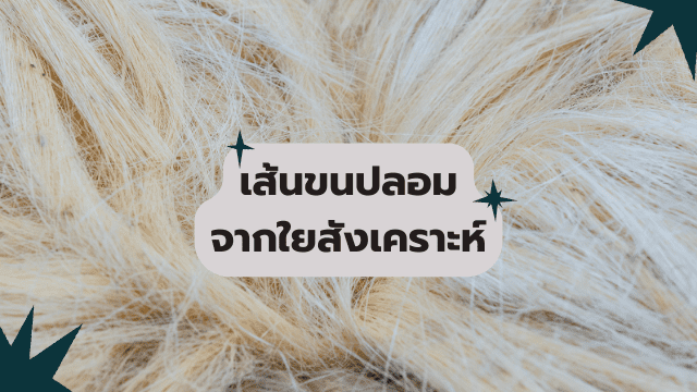ต่อขนตาแบบตาหวาน ขนตาสังเคราะห์