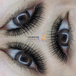 Hybrid U Eyelash